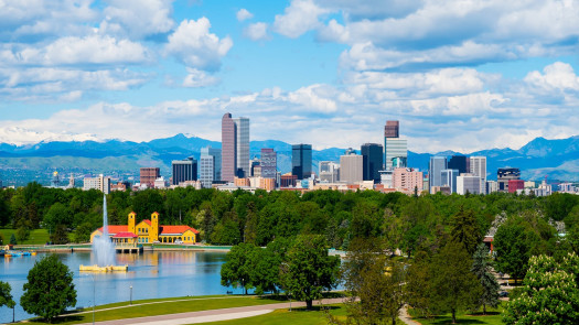 Chiropractic Practice for Sale in Arvada, CO