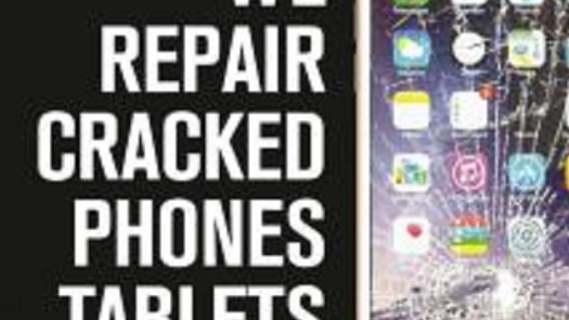 Cell Phone Repair Business in Hillsborough Cty