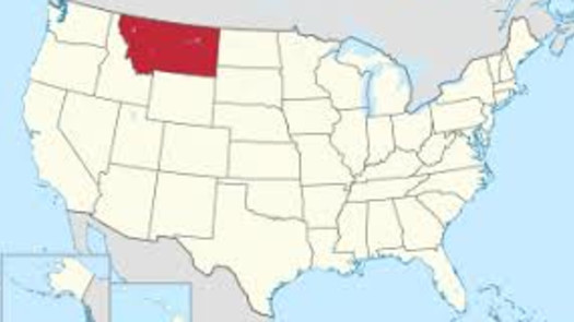 US MSB (Montana) for sale