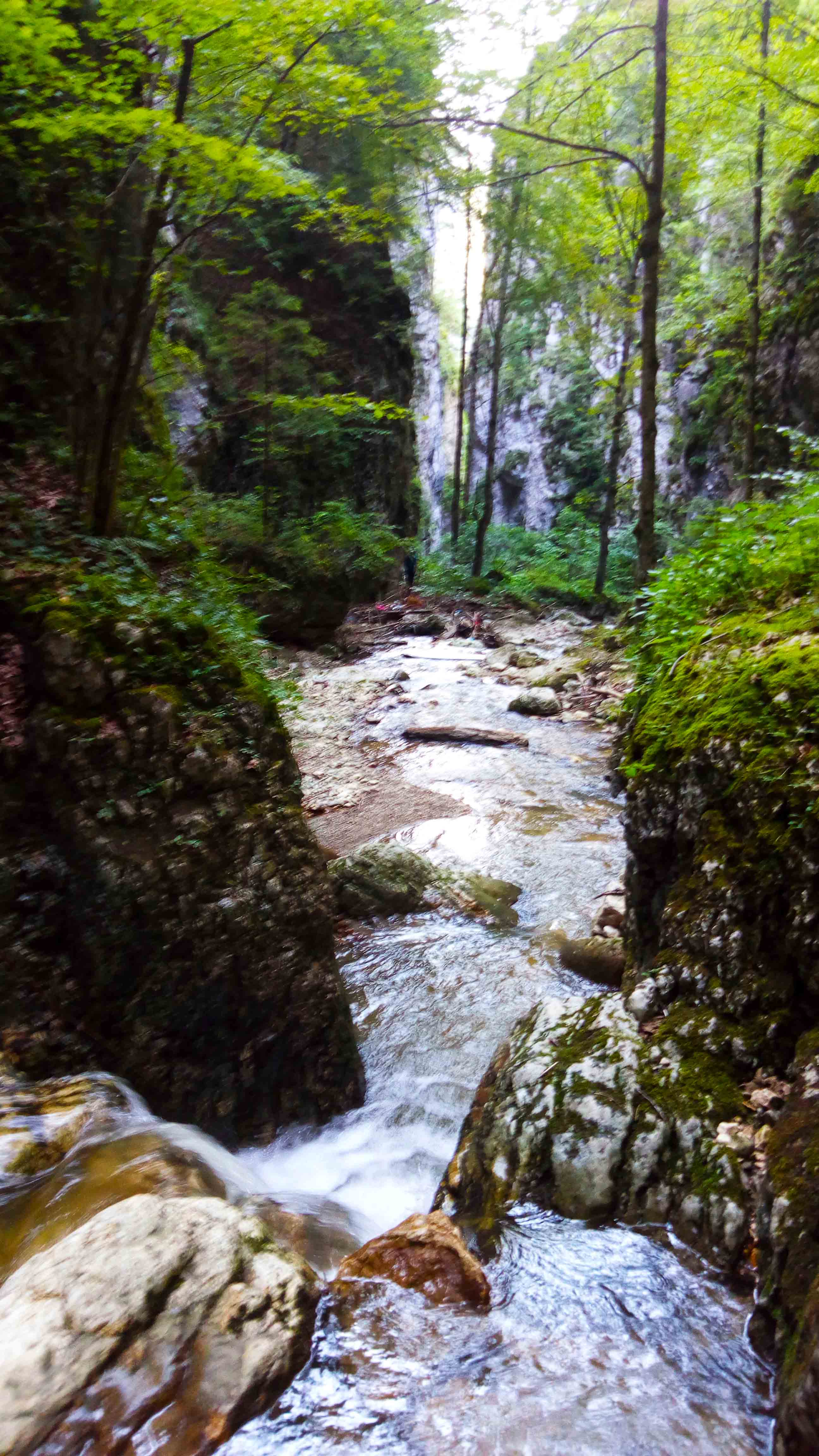 Spre finalul traseului din Cheile Dambovitei