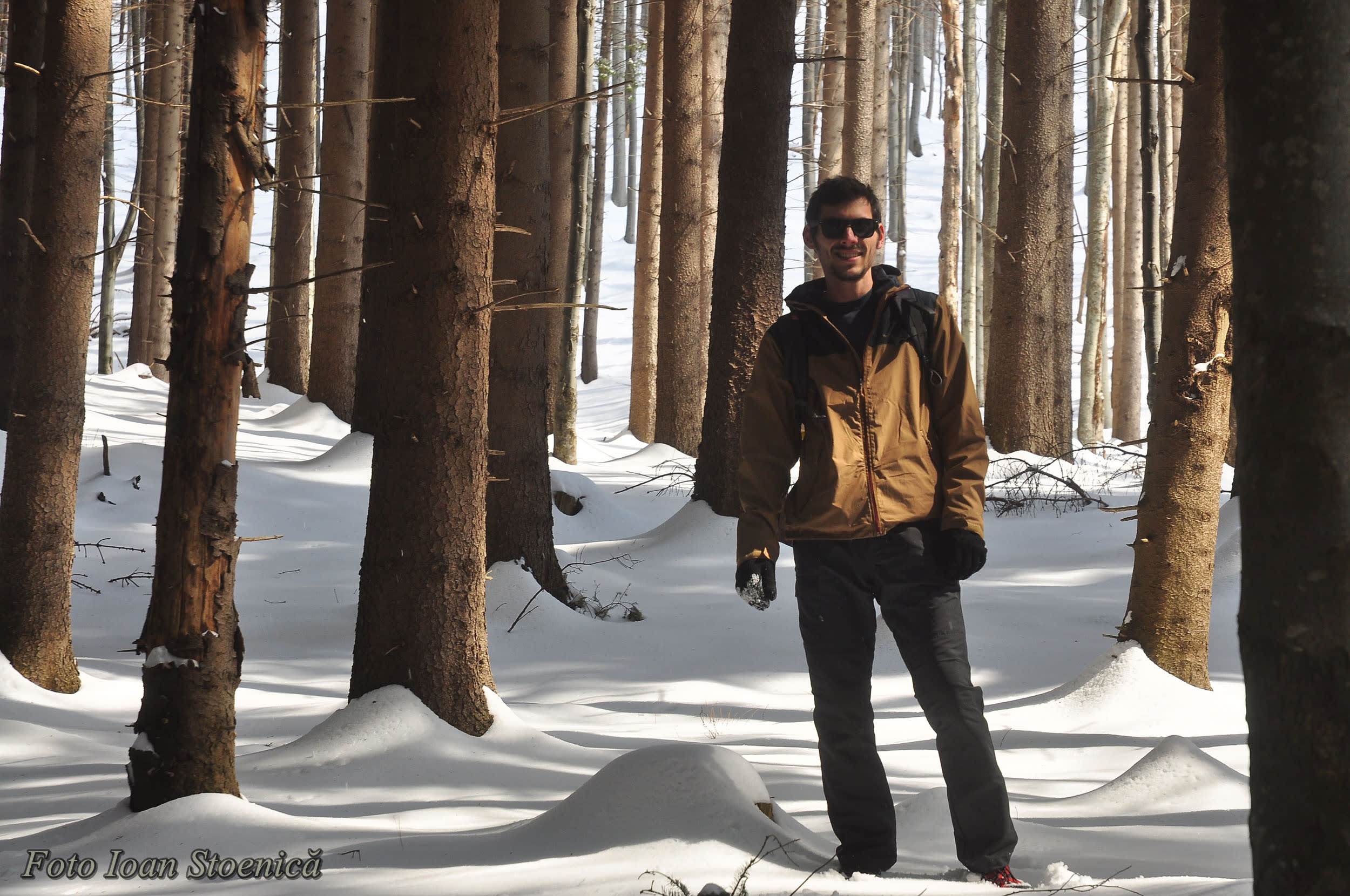 Prin padurea Clabucetului Maneciului