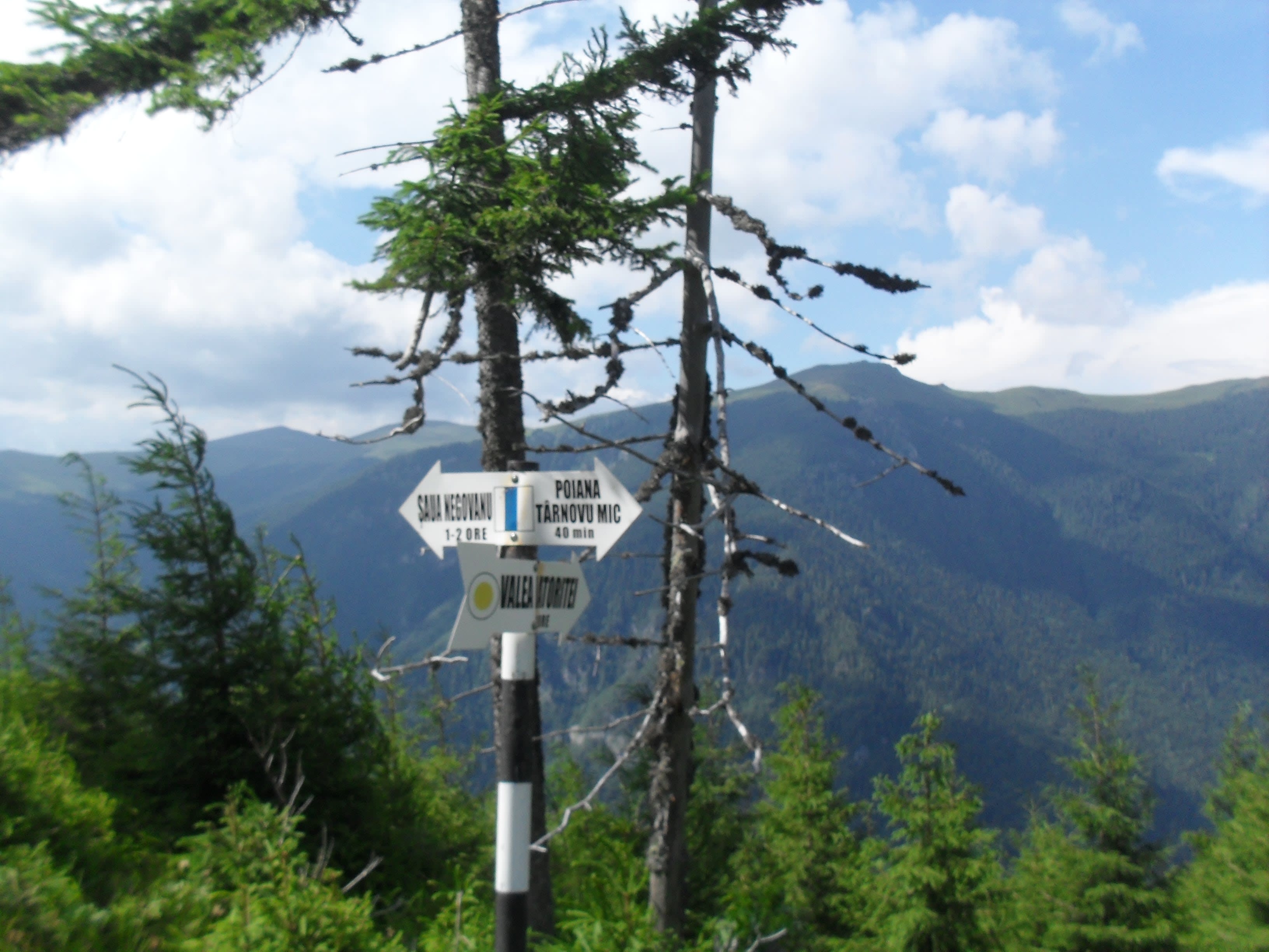 Inca 40 de minute si ajungem in Poiana Tarnovul Mic