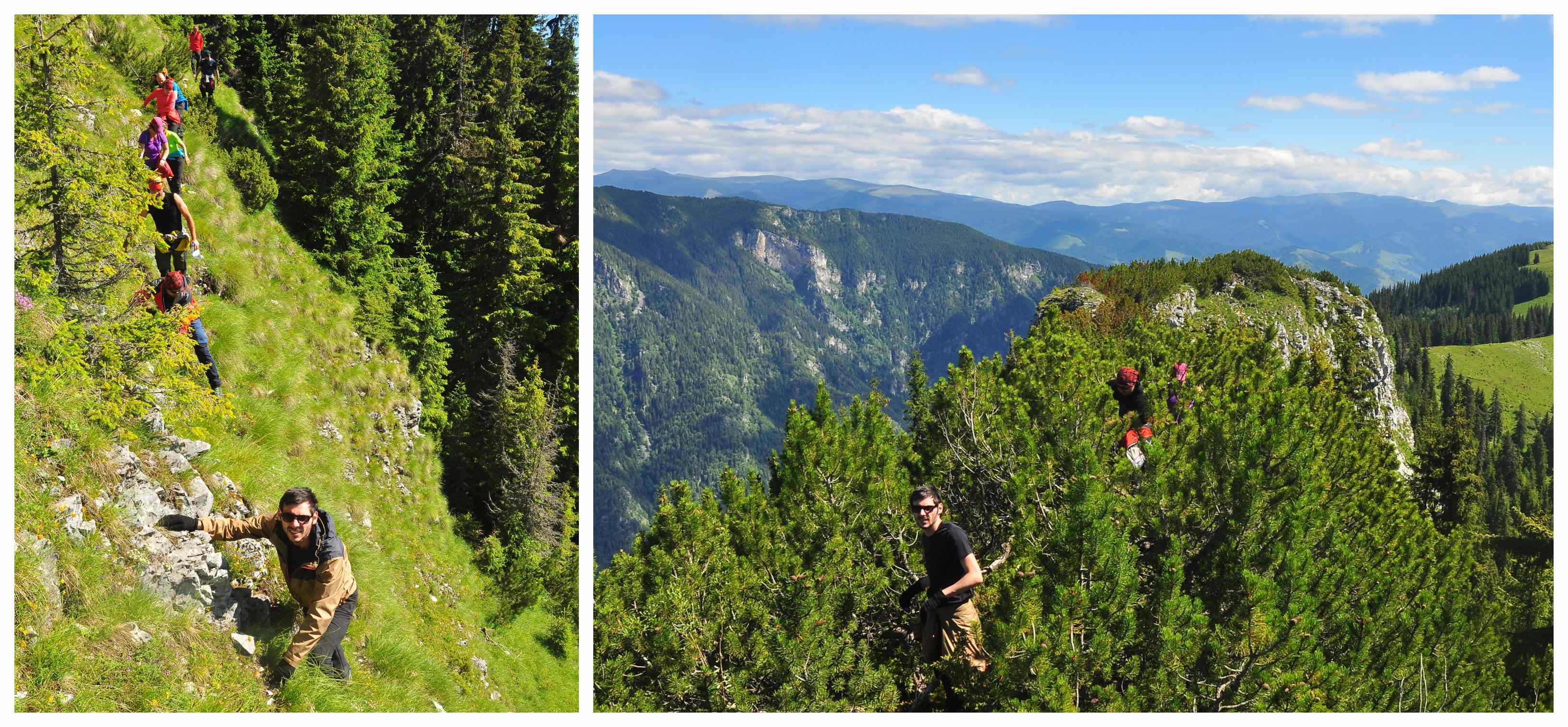 Pe creasta nemarcata a Pietrei Tarnovului