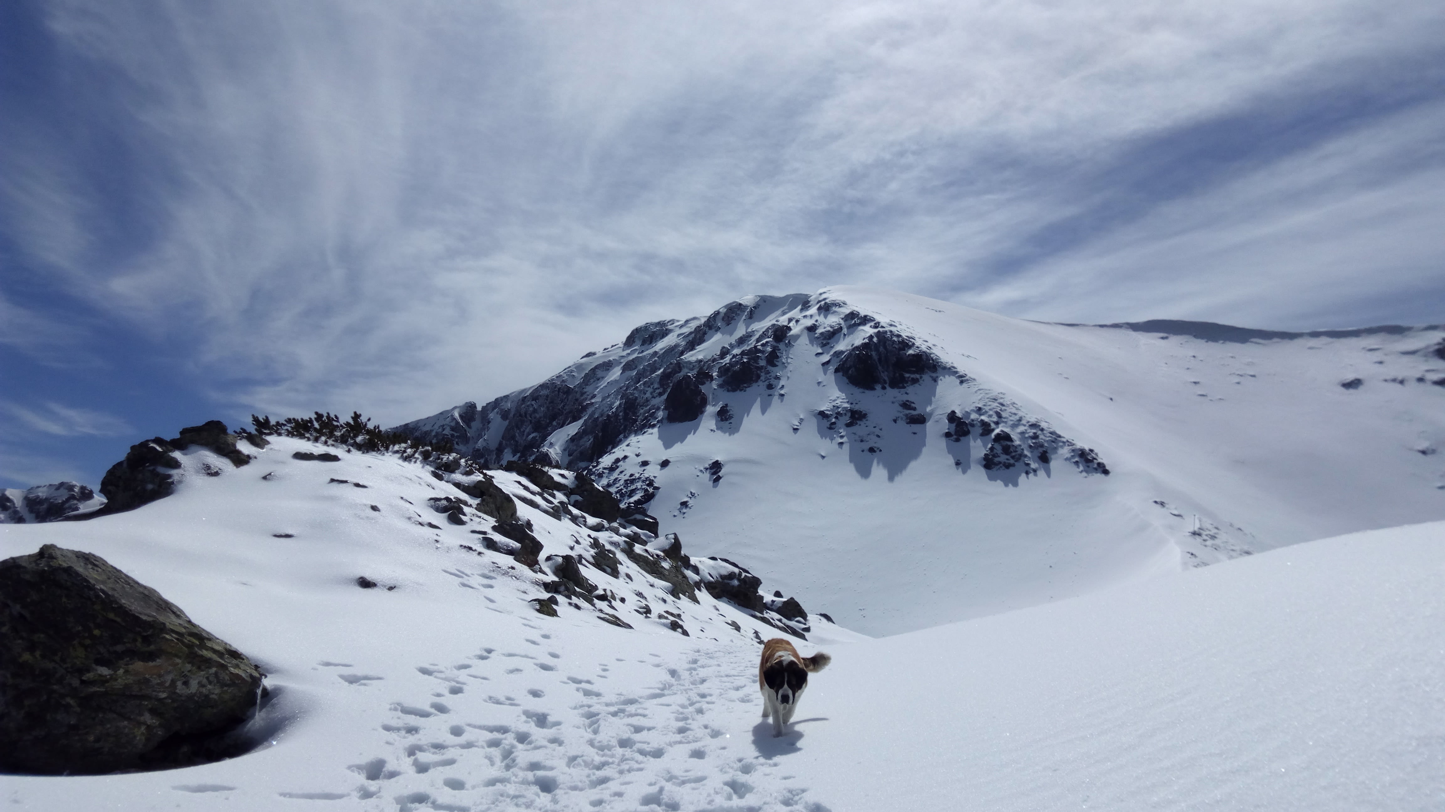 saint-bernard-in-zapada-prin-muntii-parang