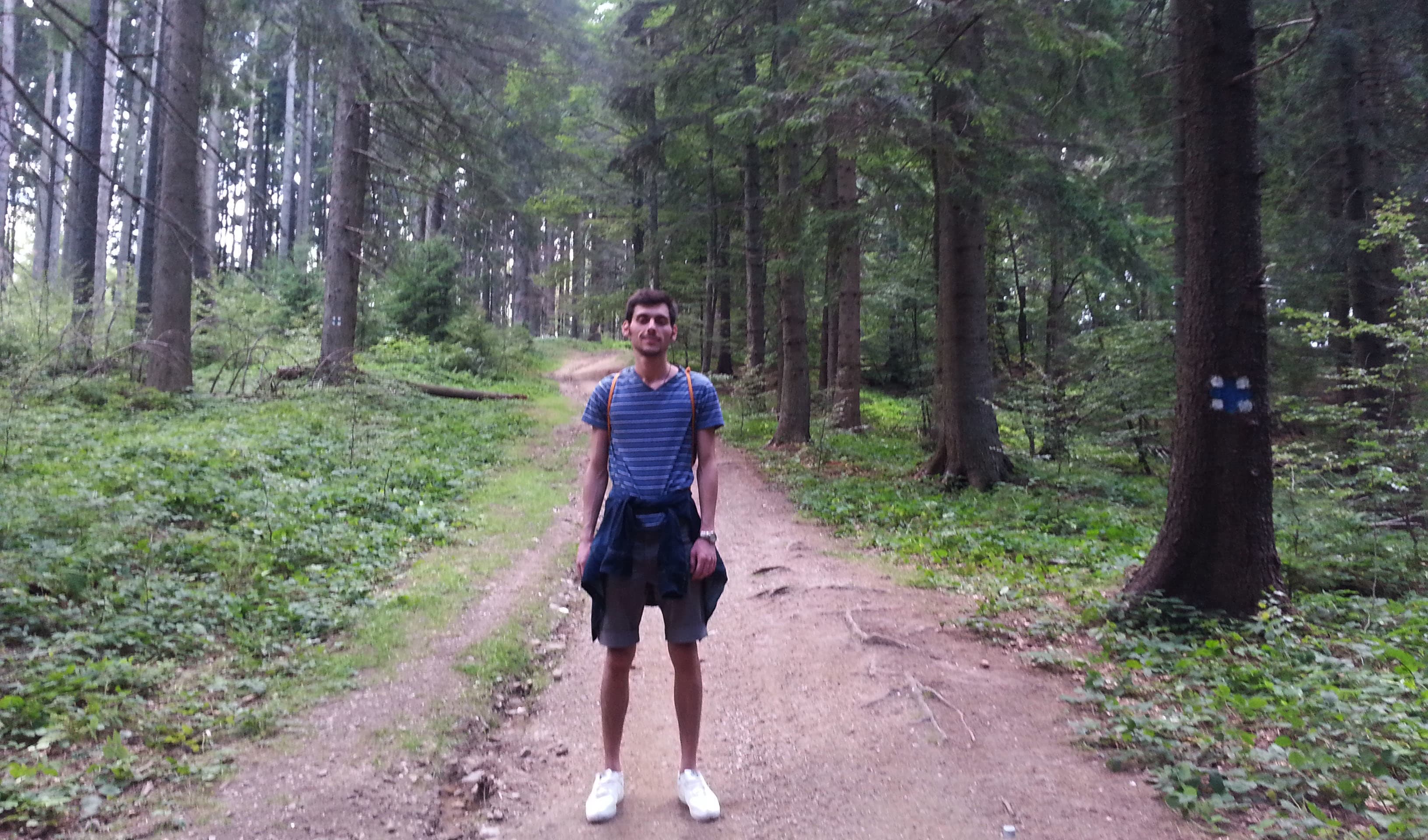 Pe marcaj cruce albastra din Predeal, prin zona Paraul Rece la Cabana Trezi BraziPe marcaj cruce albastra din Predeal, prin zona Paraul Rece la Cabana Trezi Brazi