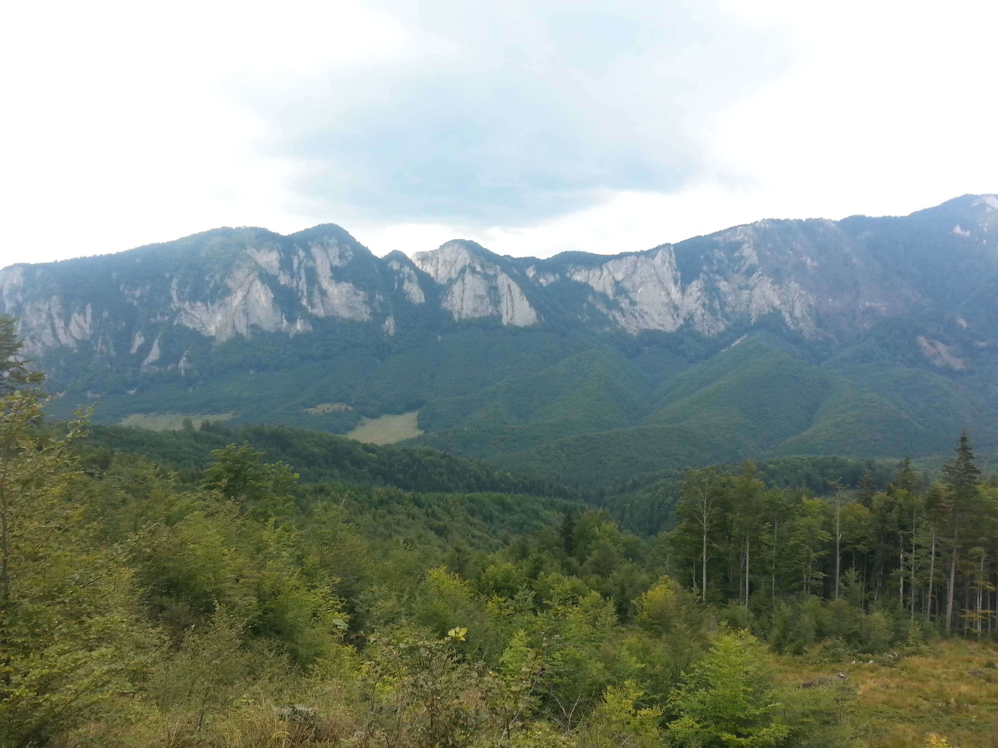 vedere spre abruptul sudic al postavarului