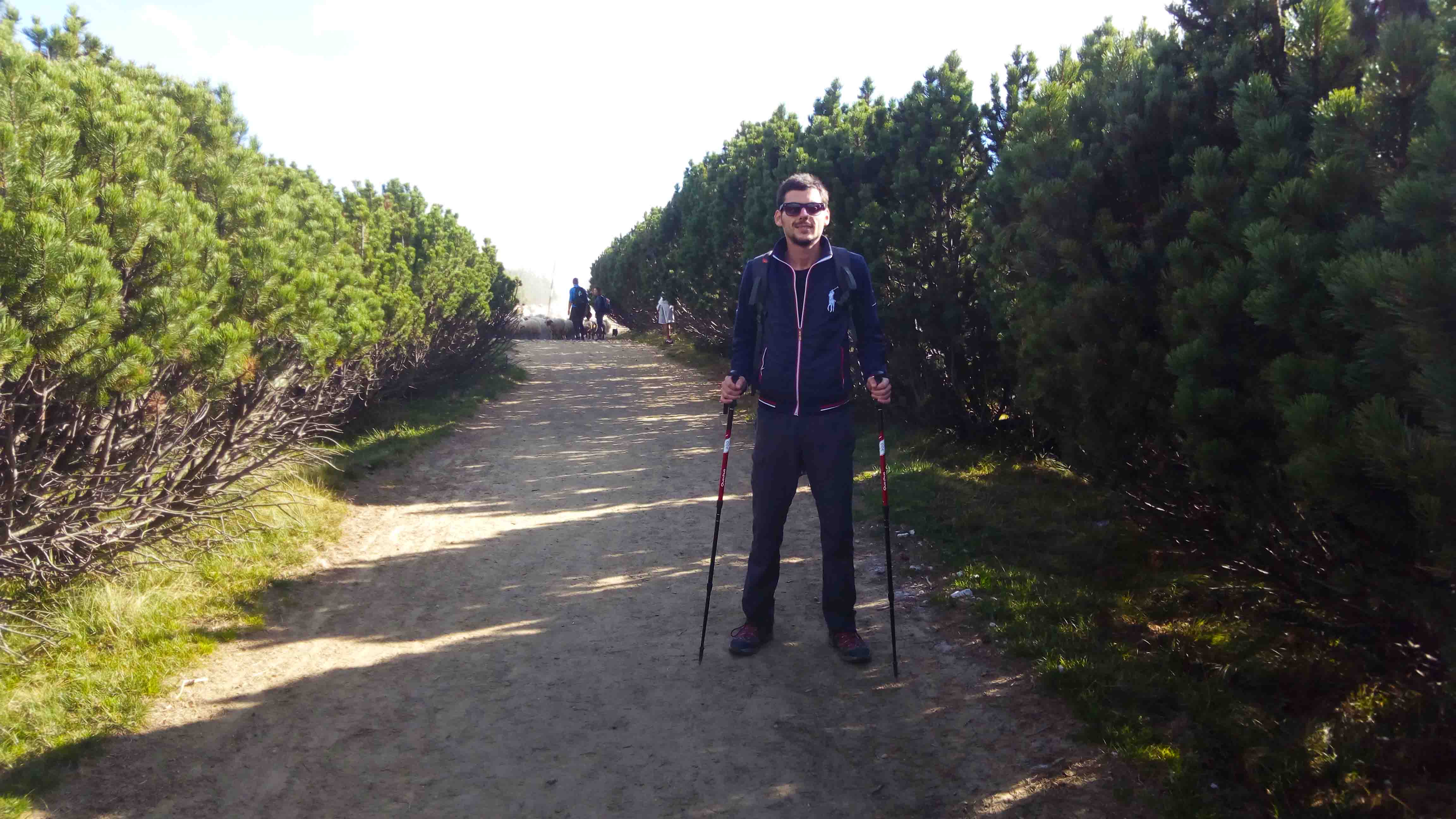 printre jnepenii de la piatra arsa