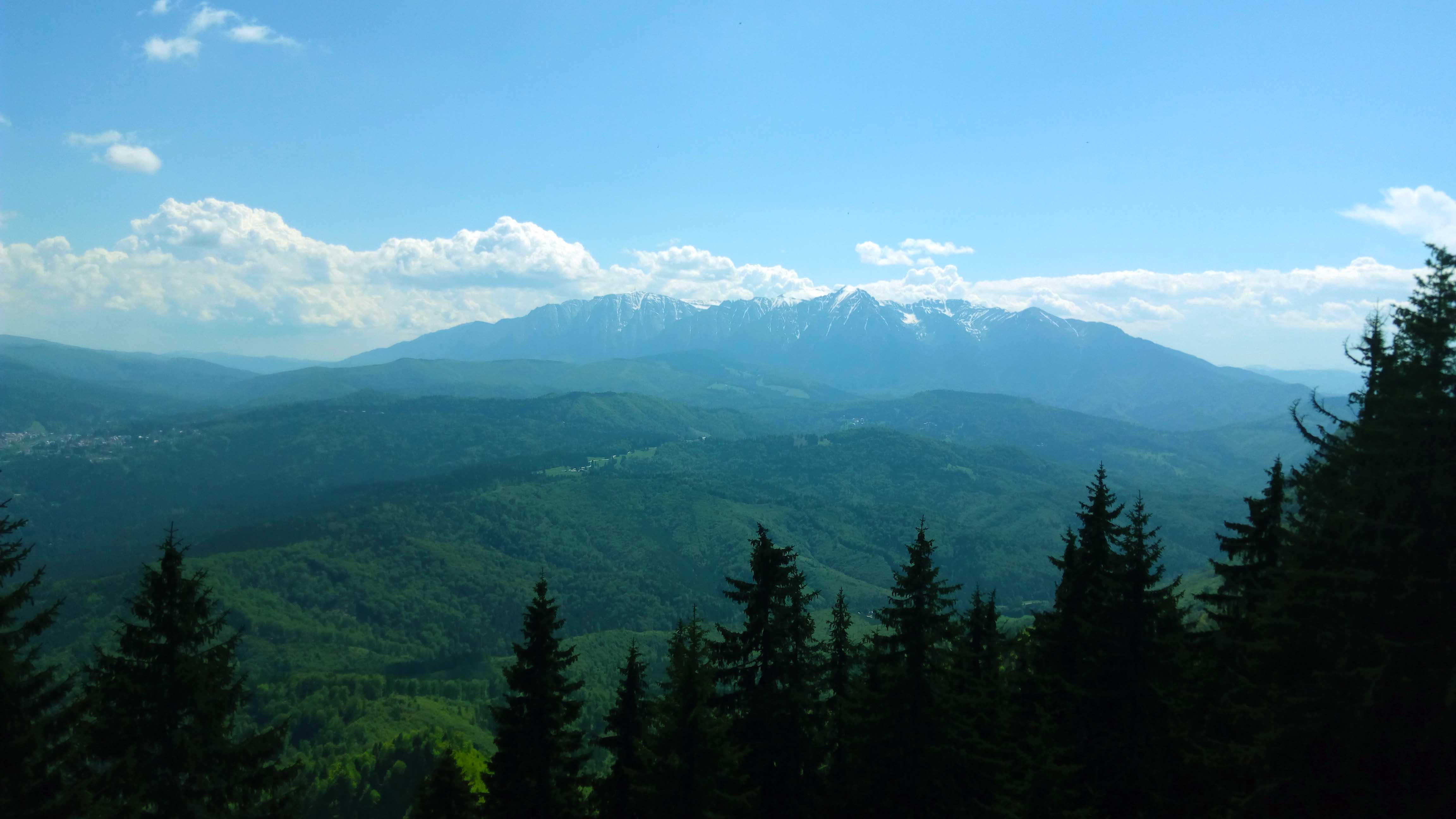 Bucegii vazuti din Poiana Stanei Postavaru