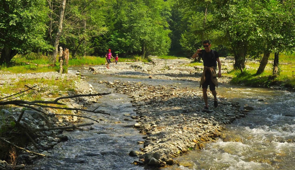 Drumetie prin Cheile Ghimbavului