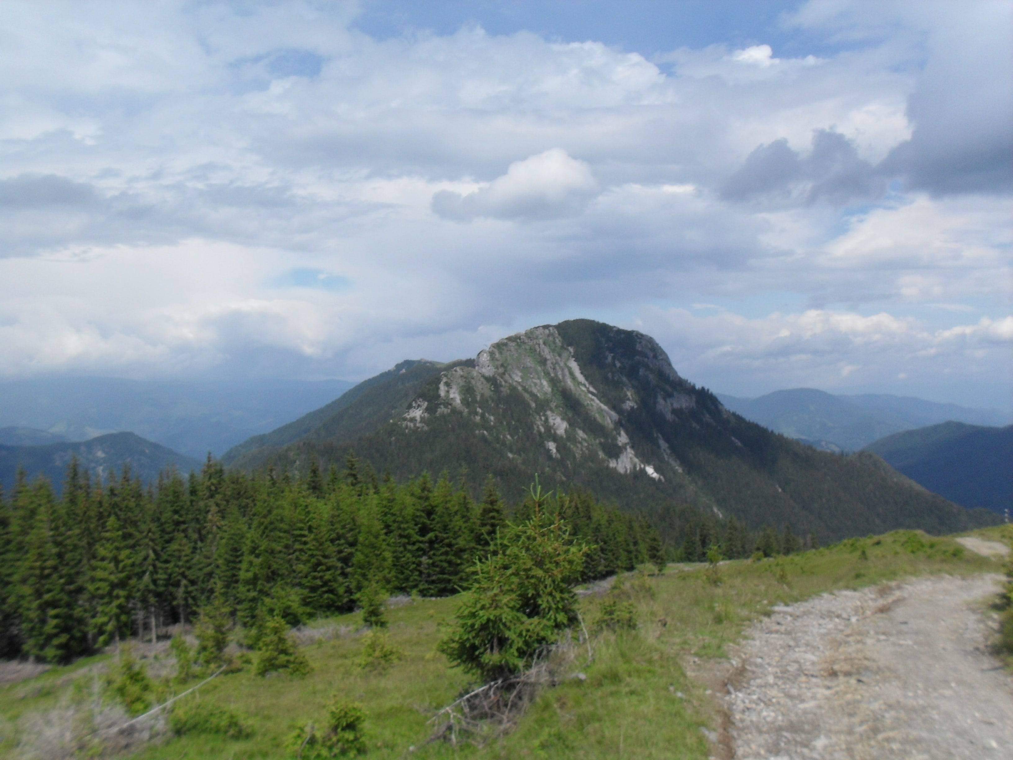 Piatra Tarnovului