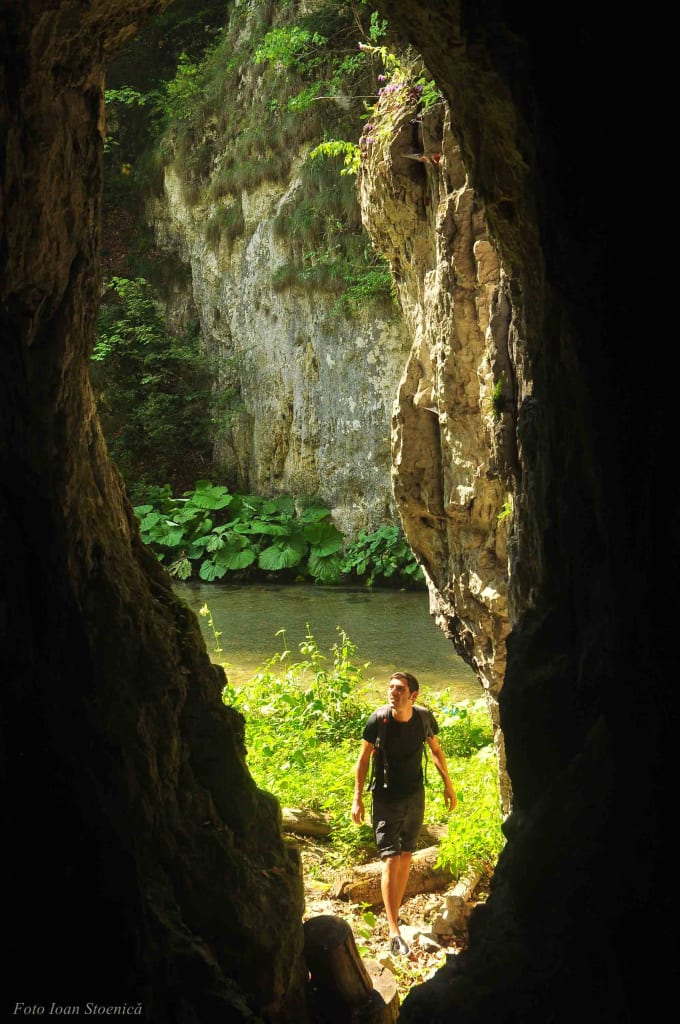 Prin Cheile Dambovitei in plina vara