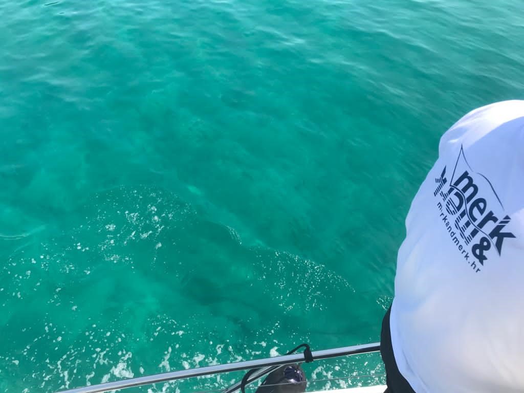 merk&merk Yachtberatung