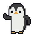 Penguin pfp