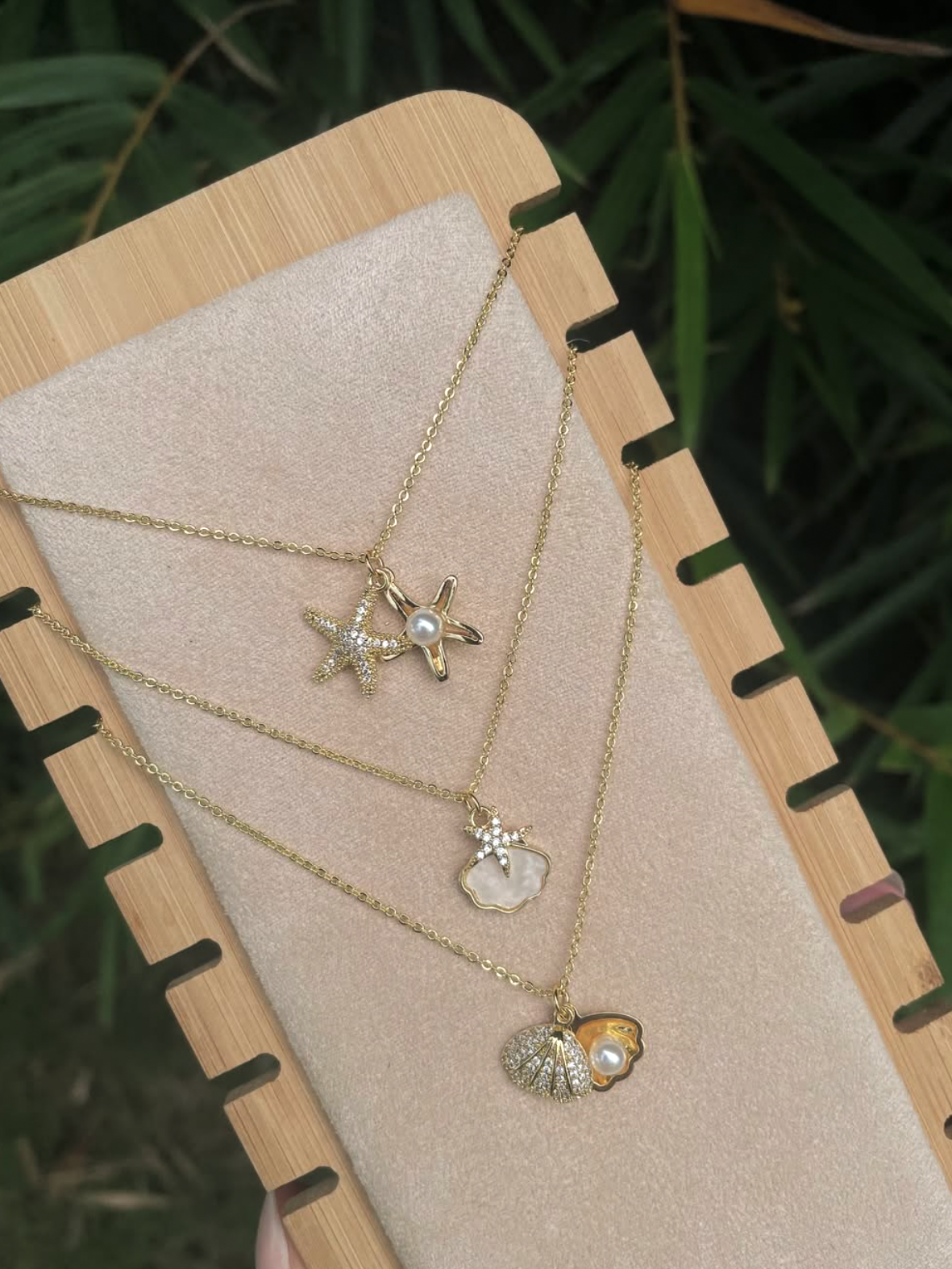 cadenas de caracol y estrella