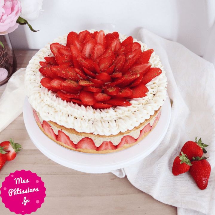 Fraisier 🍓