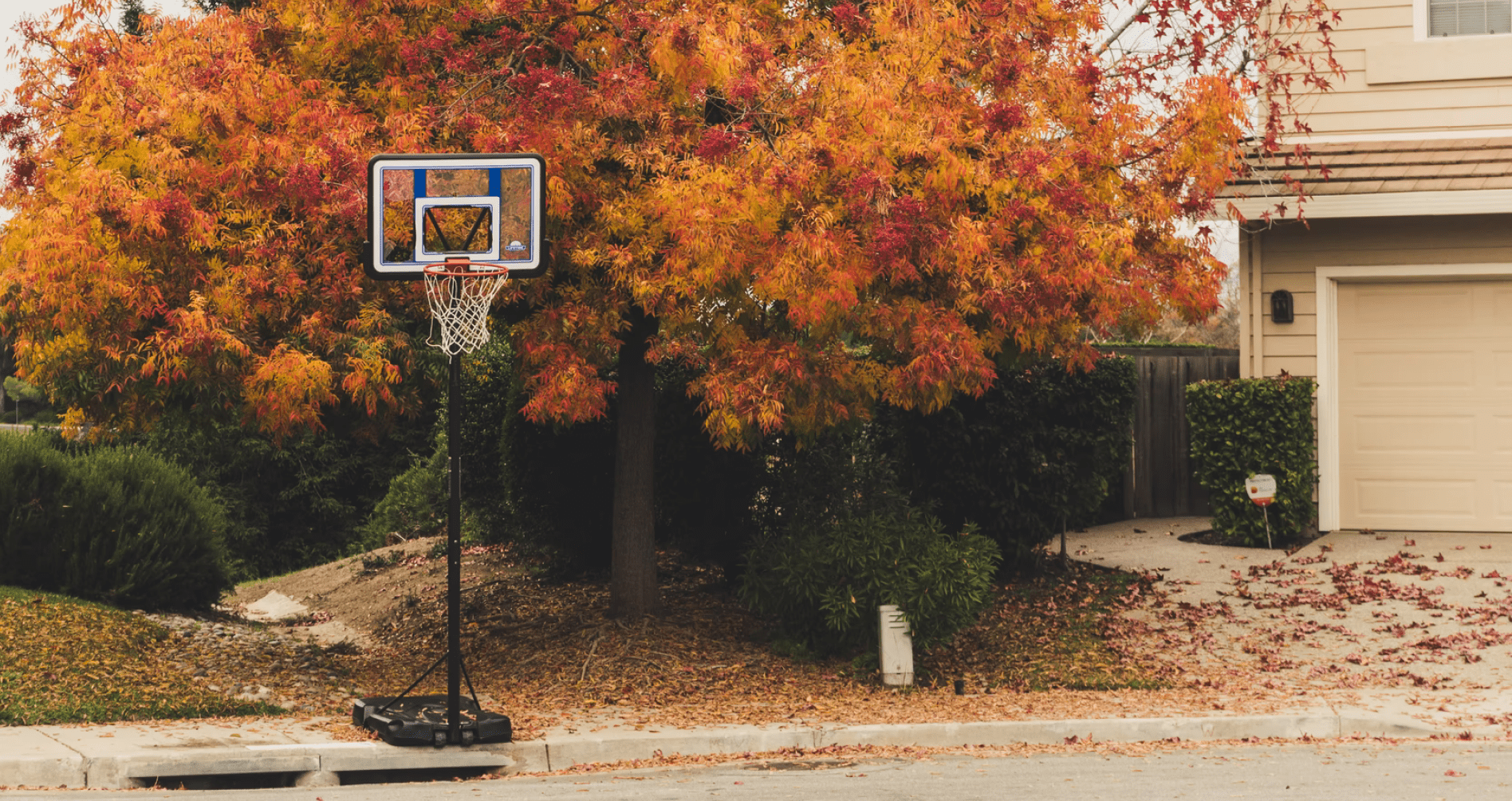 Fallen Leaves Can Keep Garage Doors from Working Properly