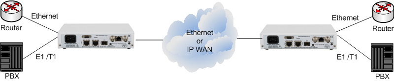 Pl1000e Module PL1100: E1 over IP / Ethernet Services