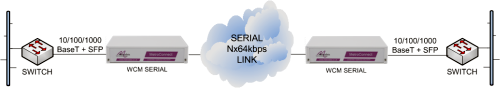 WCM-Serial units performing Ethernet service demarcation and media conversion