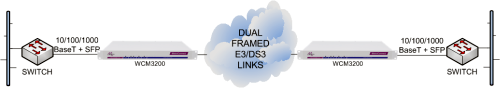 WCM3200 units performing Ethernet service demarcation and media conversion