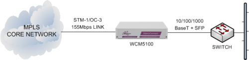 WCM5100 delivering Ethernet services from an MPLS core network