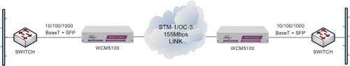 WCM5100 units performing Ethernet service demarcation and media conversion