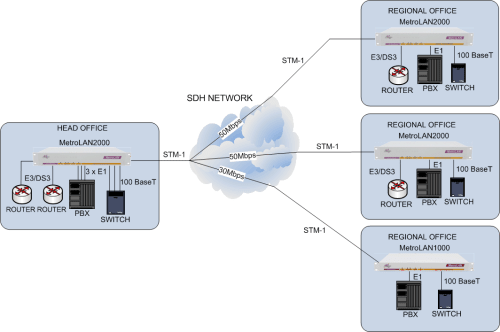 Multi-site Multi-service Delivery using the MetroLAN2000