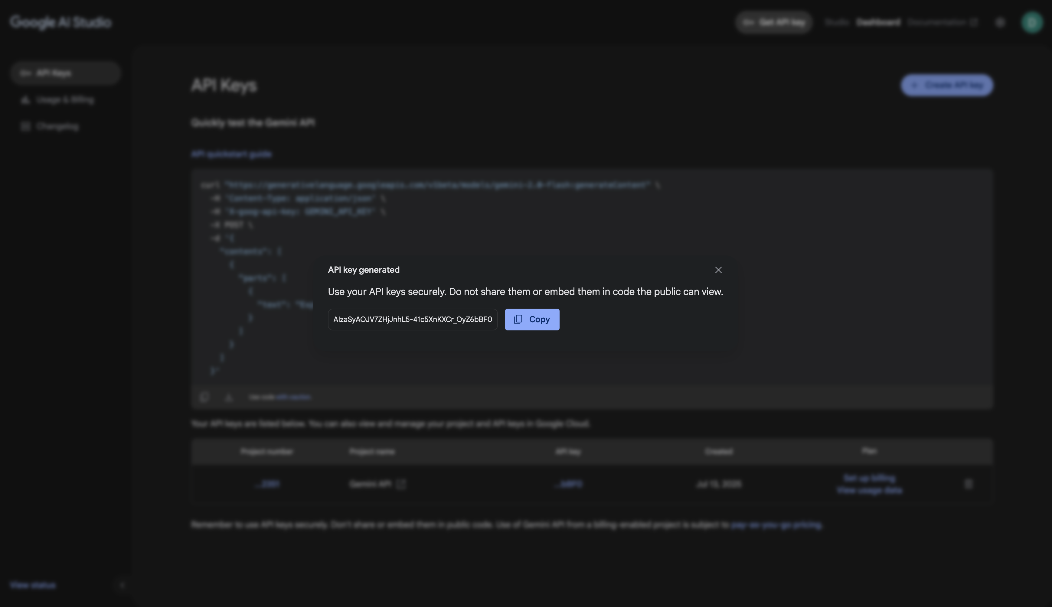 Copying the generated API key