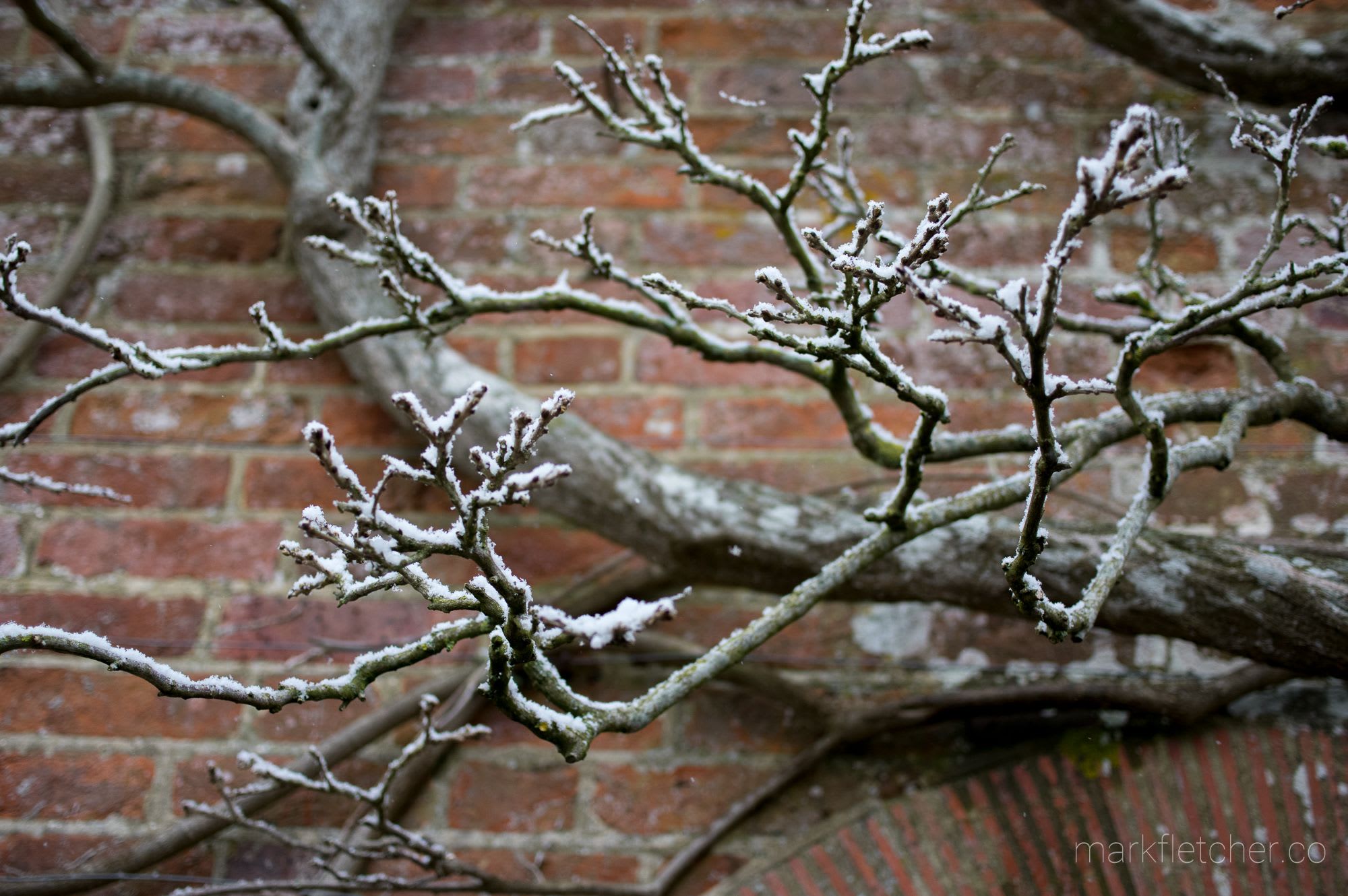 Polesden Lacey in the snow