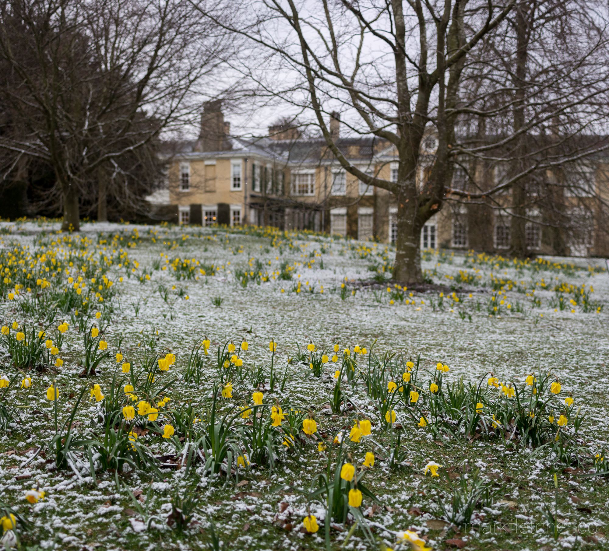 Polesden Lacey in the snow