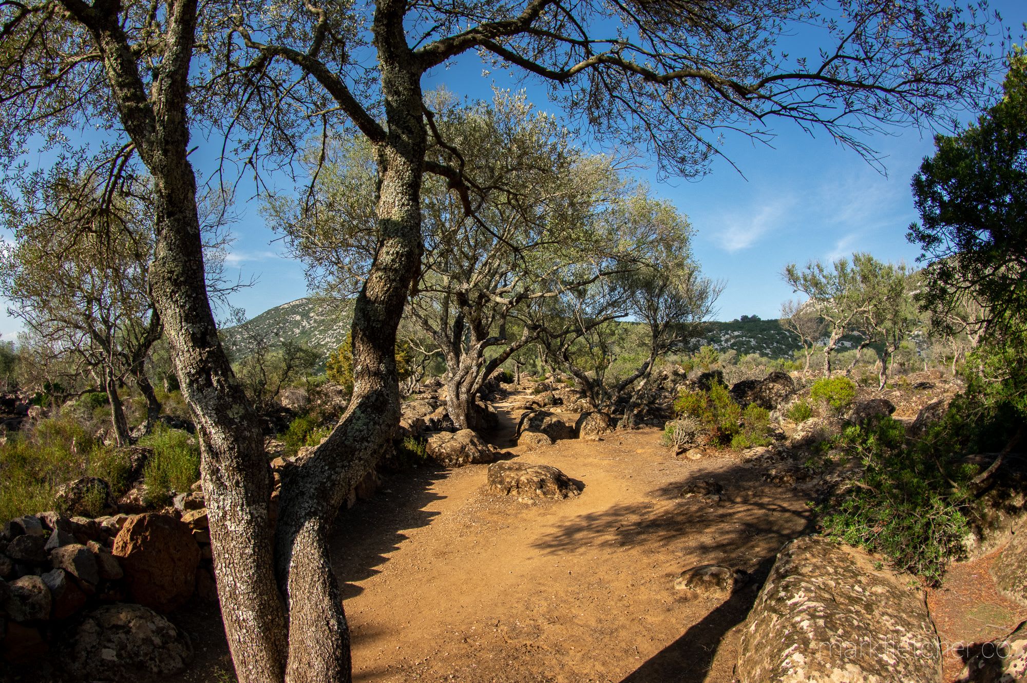 Baunei and beyond - Travels in Sardinia