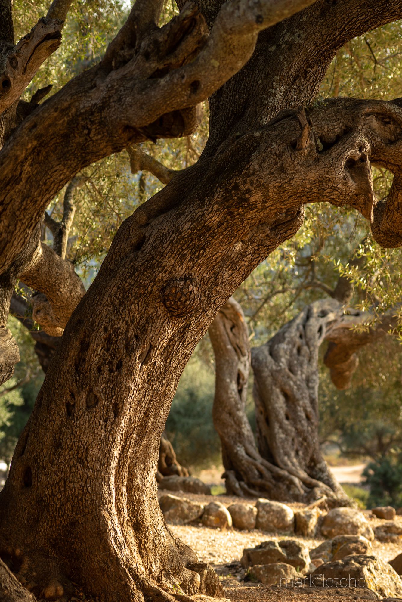 Baunei and beyond - Travels in Sardinia