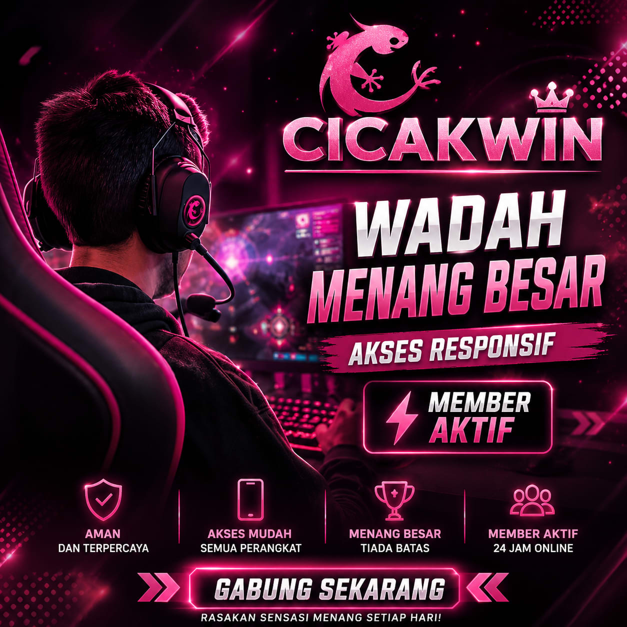 CICAKWIN