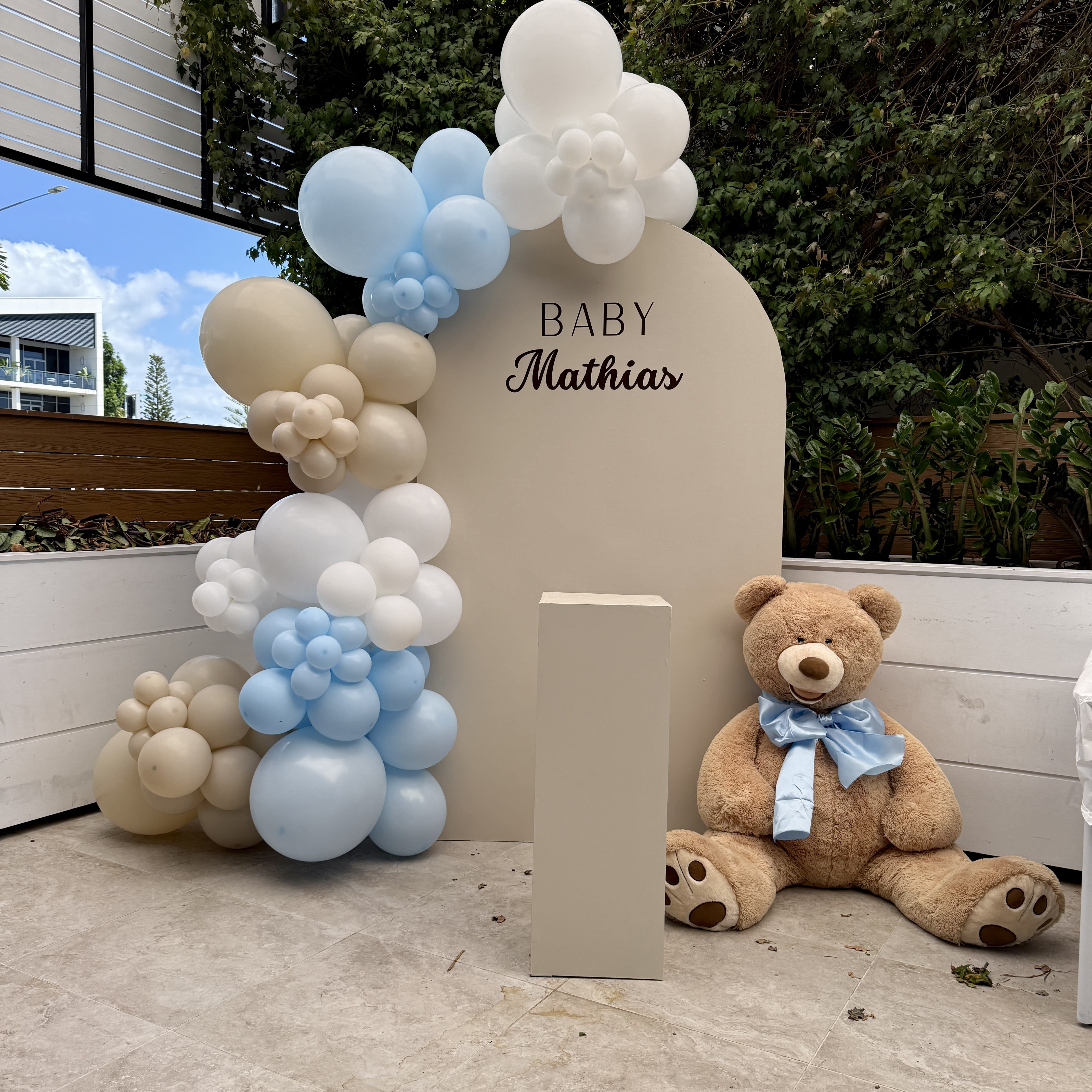 Teddy Bear Backdrop - Image 2