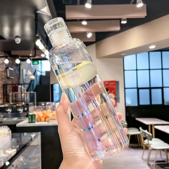 Transparent leak proof bottle 500ml (plastic)