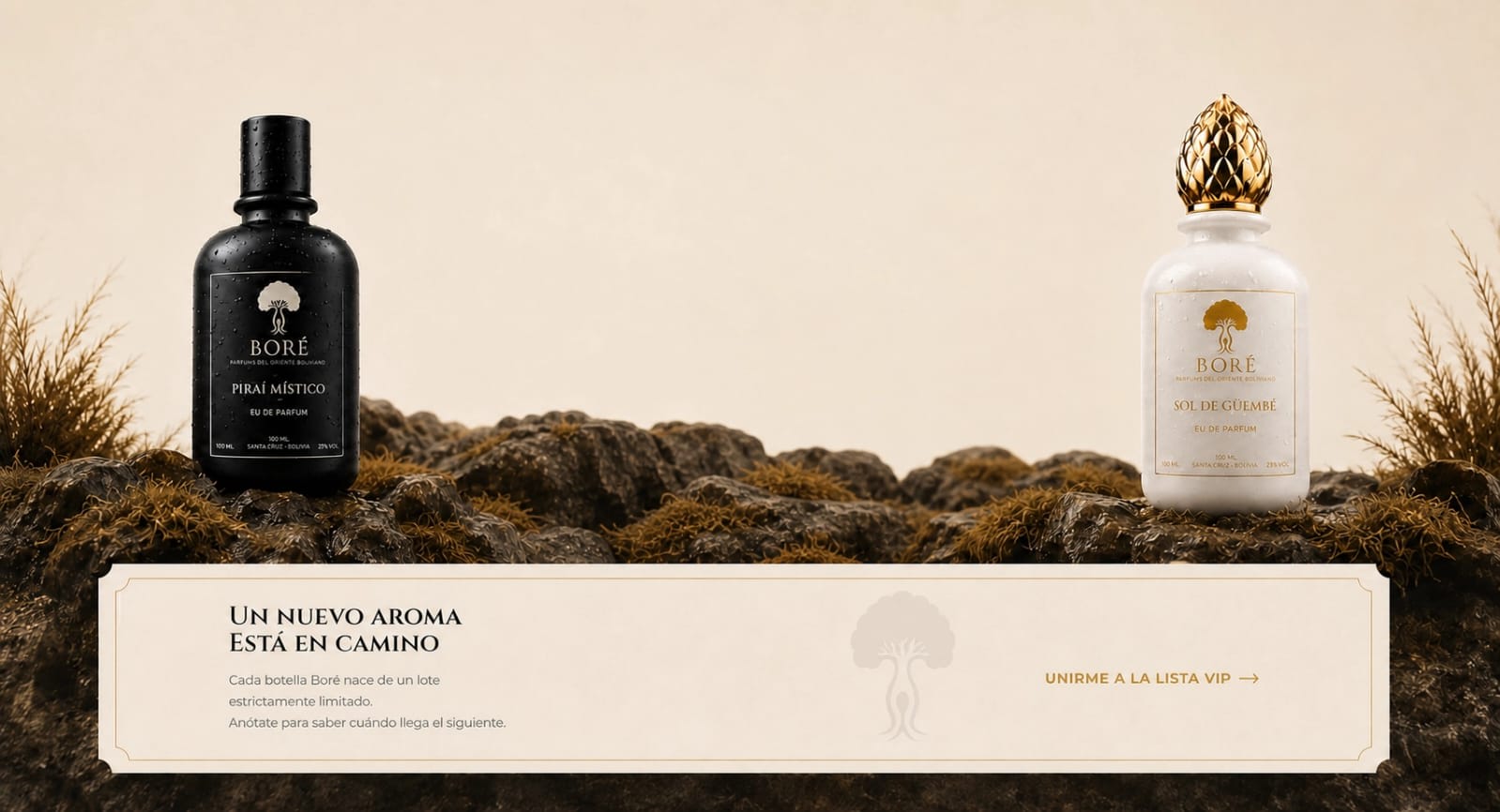 Un nuevo aroma está en camino — próximo lanzamiento Boré.