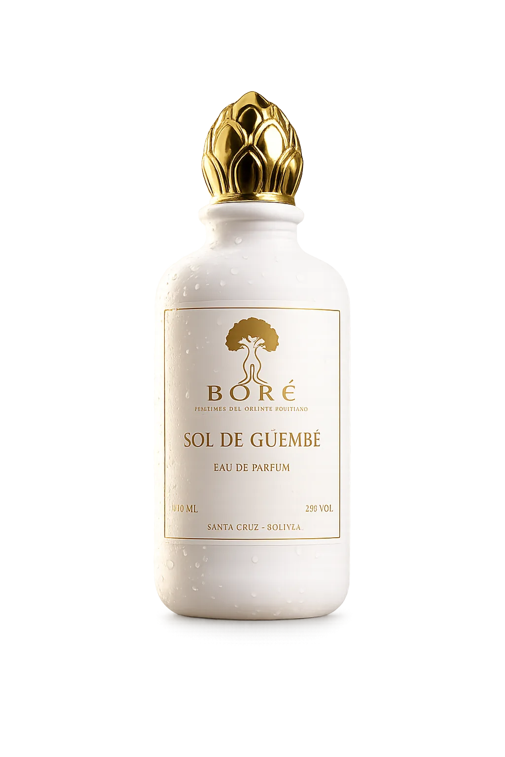 Sol de Güembé
