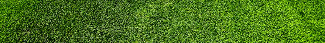 artificial grass installed in a yuma, az backyard