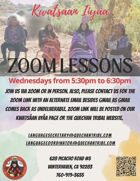Zoom Lessons Flyer