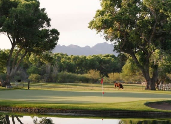 Scenic view of Tubac Golf Resort & Spa, location for the STAA Annual Convention