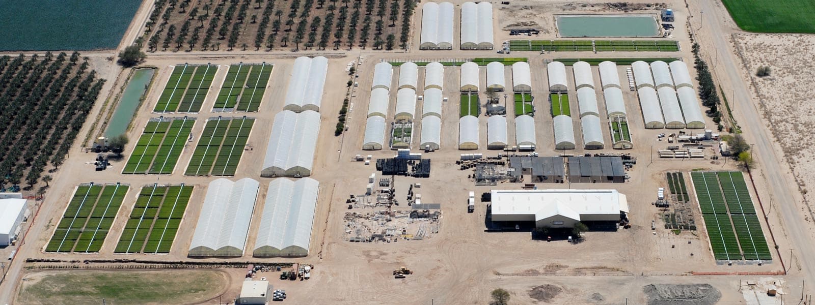 Aerial view of green houses in Yuma County