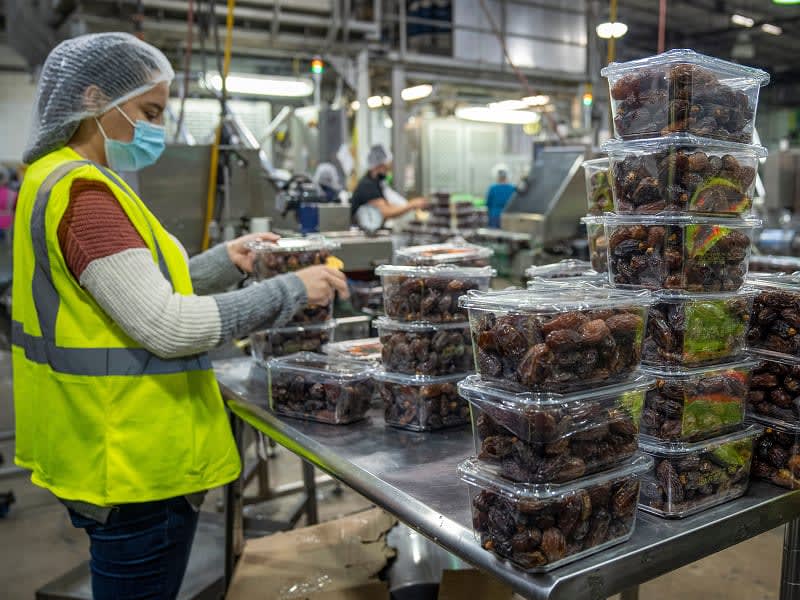 Workers pack dates in an industrial facility setting in Yuma, Arizona