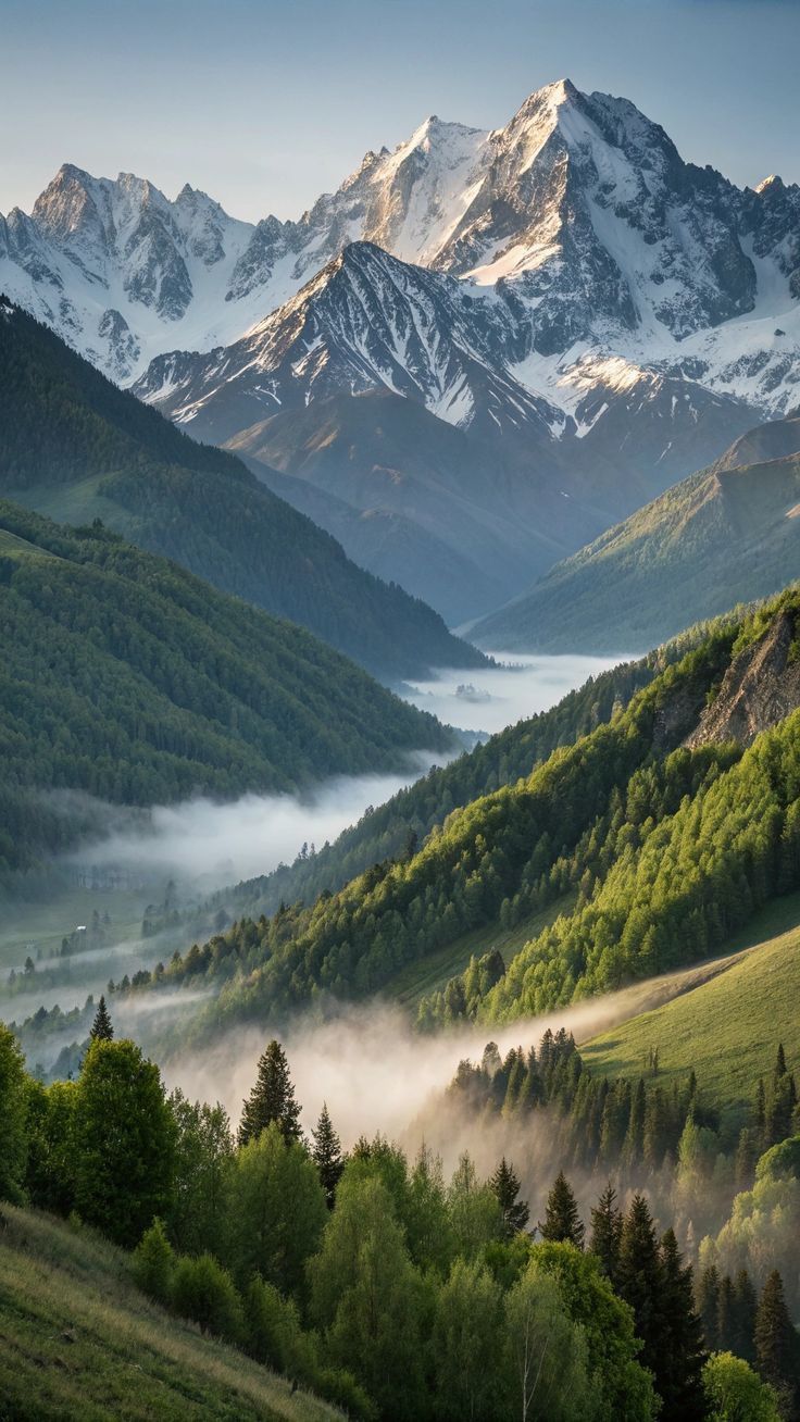 Карпати
