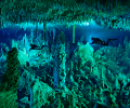 National Geographic Live