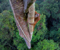National Geographic Live