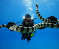National Geographic Live