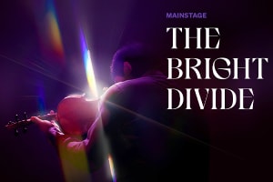 The Bright Divide