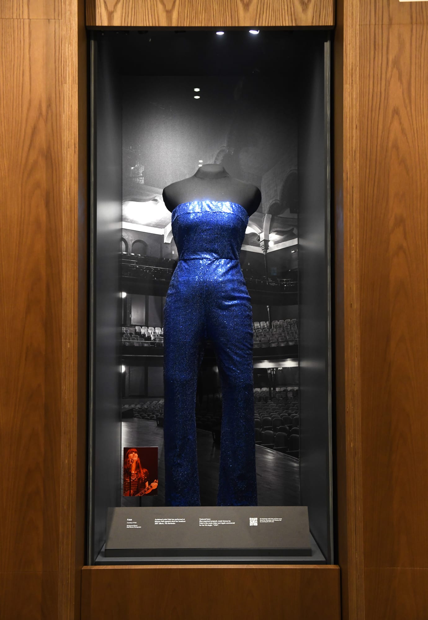 Feist's blue jumpsuit made famous in the video for '1234'