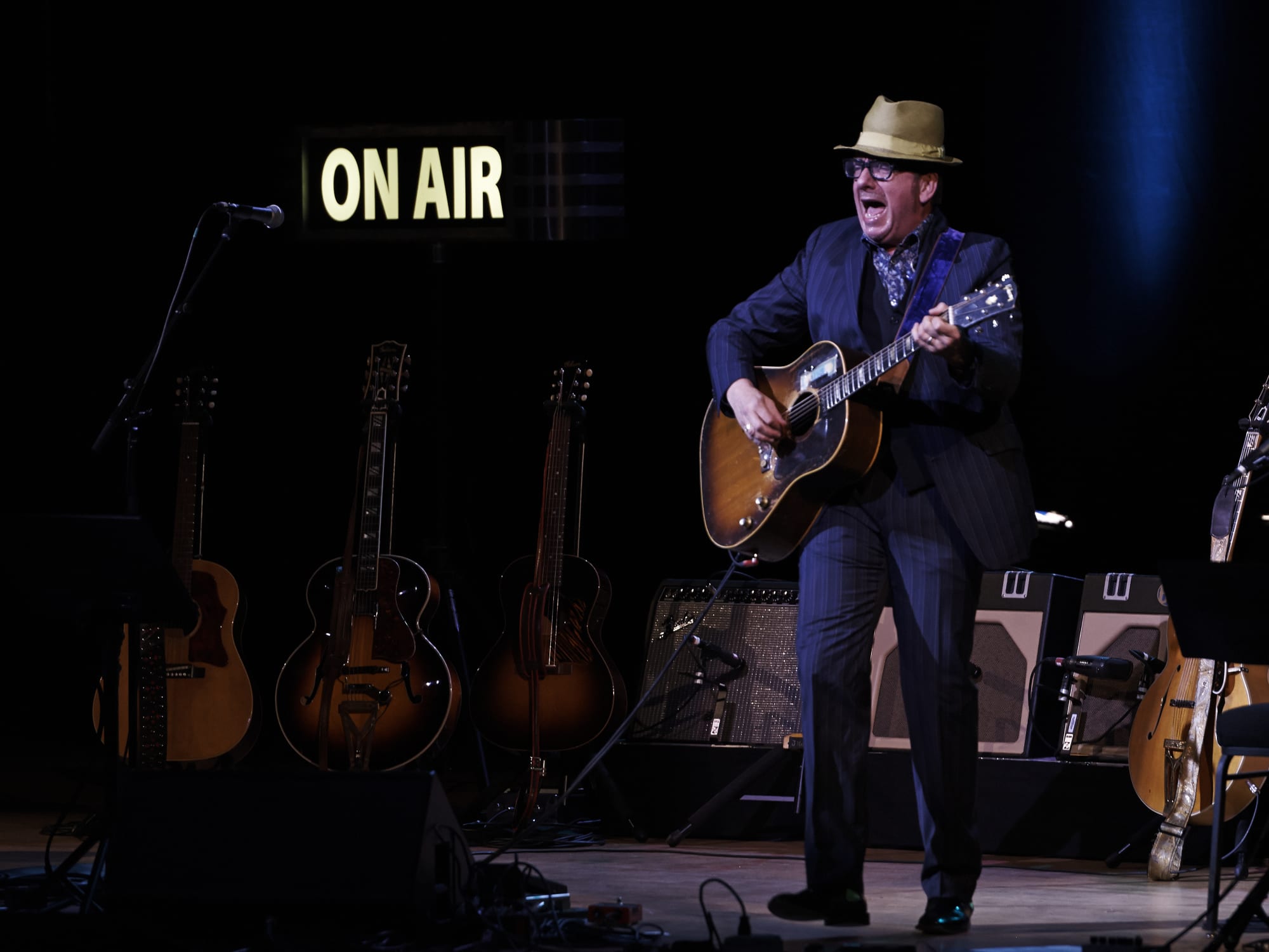 Elvis Costello, June 2014