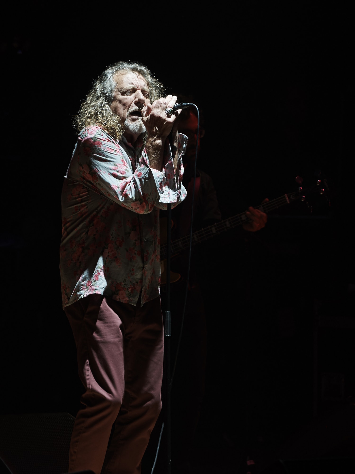 Robert Plant, October 2014