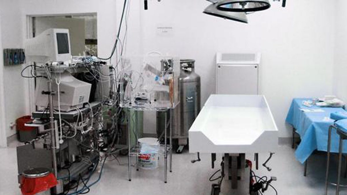 Immortality, The Why Factor